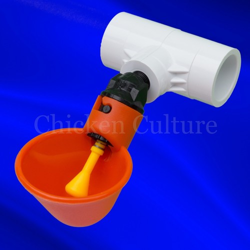 6 Pack Poultry Water Drinking Cups- Chicken Hen Automatic Dr...