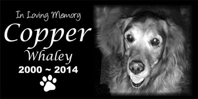 Pet Stone Memorial Engraved Headstone 6"X 12" Grave Labradao...