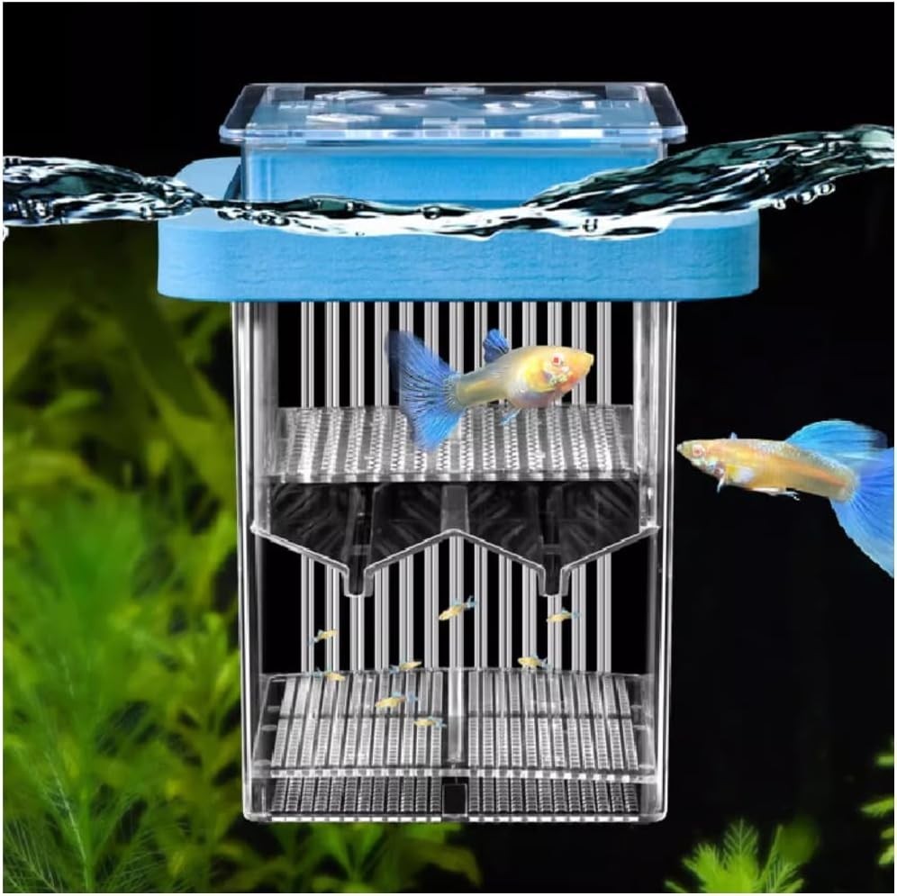 Fish Breeding Box with Lid and Floating Ring Aquarium Divide...