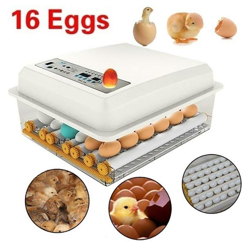 Digital Mini Egg Incubator Machine - Automatic Turner Setup