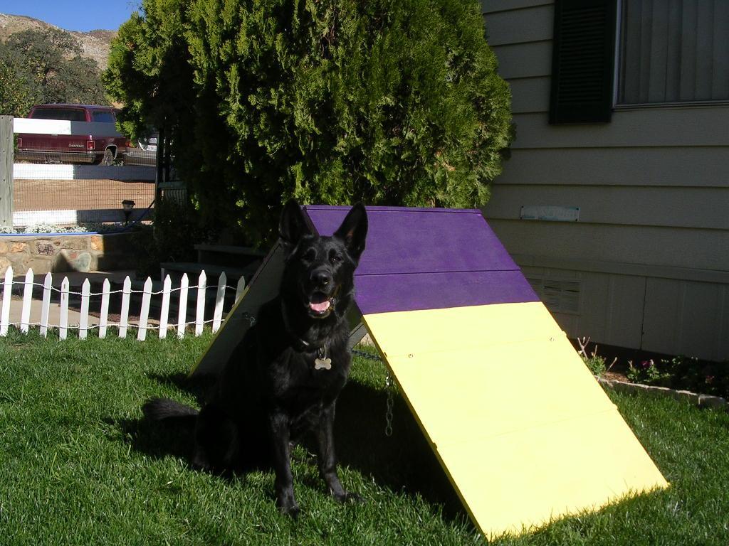 Dog Agility Equipment Mini A-Frame