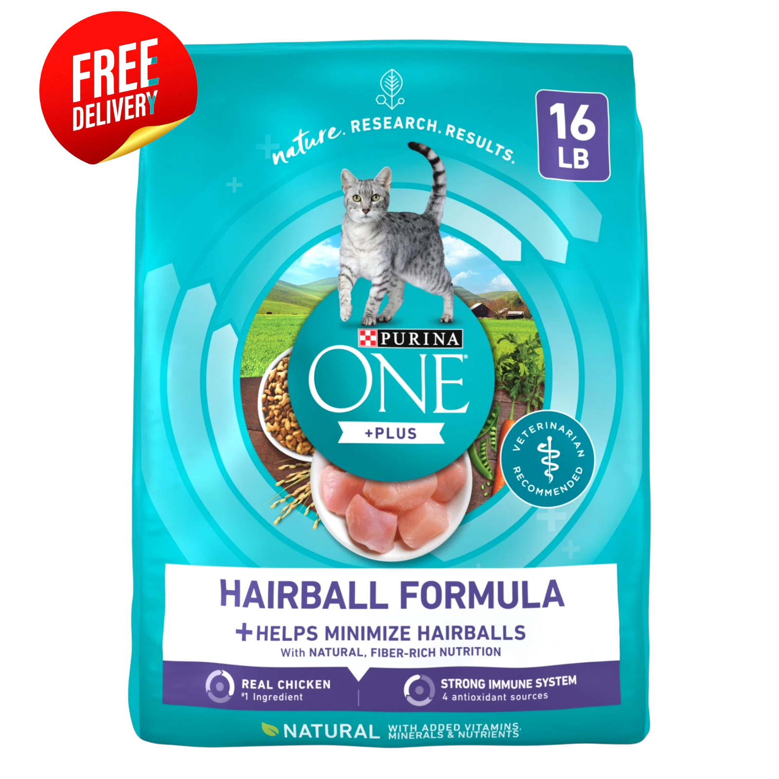 Purina ONE Plus Chicken Hairball Control Dry Cat Food - 16 l...