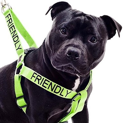 Dog Strap Harness Color Coded Green Friendly Heavy Duty Pit...