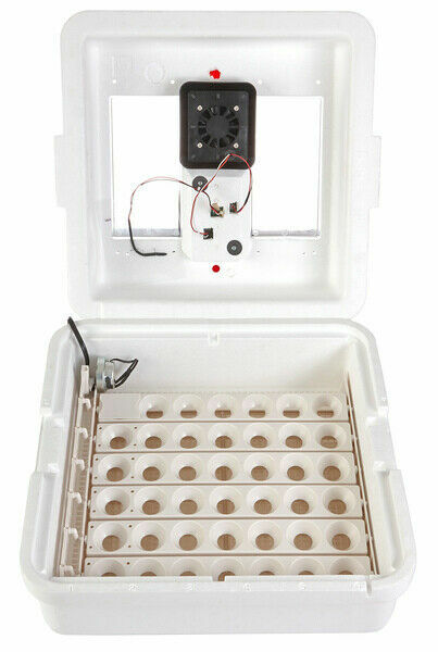 Deluxe Little Giant Egg Incubator Model 11300 Kit