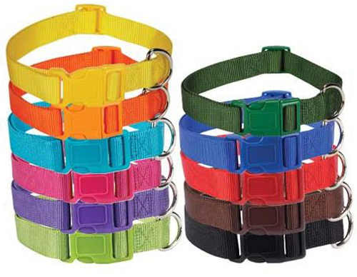 Zack & Zoey Bright Solid Color Nylon Dog Collar 11 Colors 4...