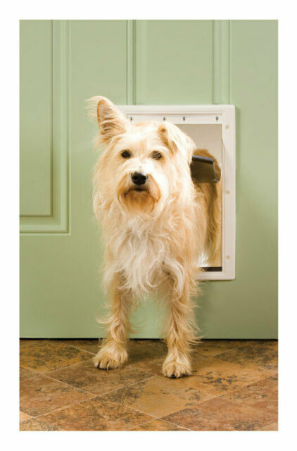 PetSafe Medium Size Plastic Pet Door, White, 8.2" x 12.25",...
