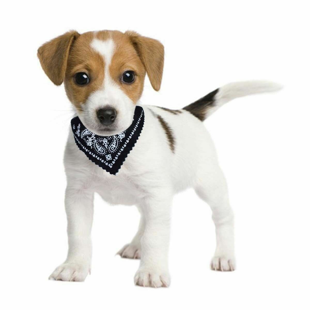 Leather Dog Neckerchief Collar for Puppies Kittens Tie Scarf