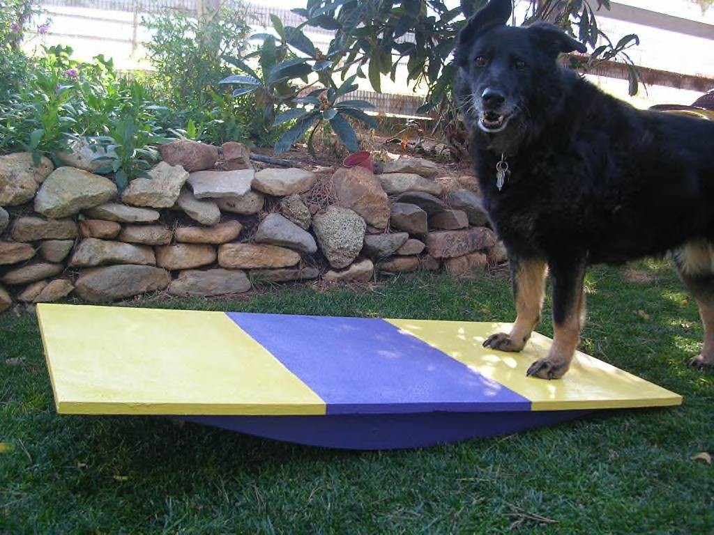 Dog Agility Equipment Rocker/Wobble Teeter Board