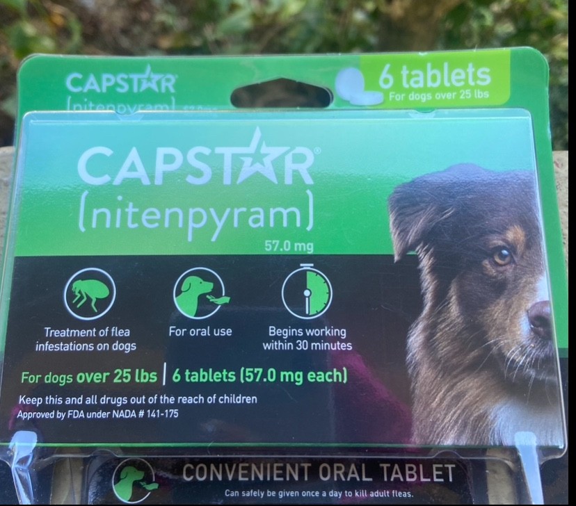 Capstar Nitenpyram Dog Treats - Large Dogs Over 25 lbs - 6 P...