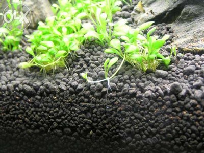 Aquarium Fish Tank Plant Soil Substrate Fertilizer Clay Pell...