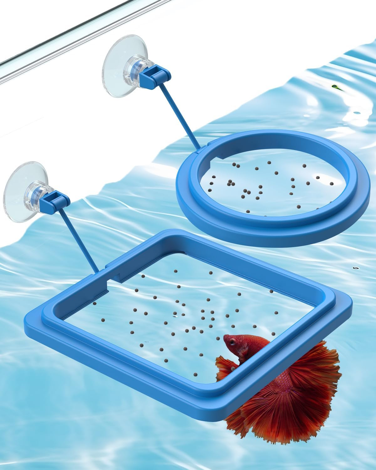 Fish Feeding Rings – Round & Square Floating Food Dispenser...