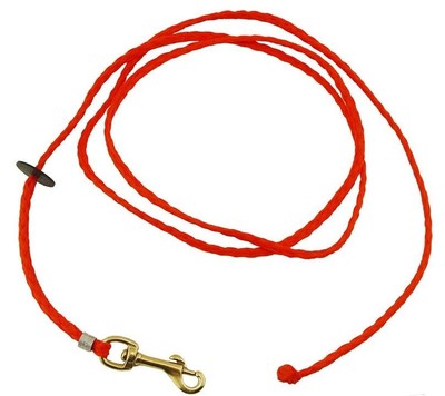 Dead Fowl Trainer Puppy 2-In-1 Leash By Dokken Plx100