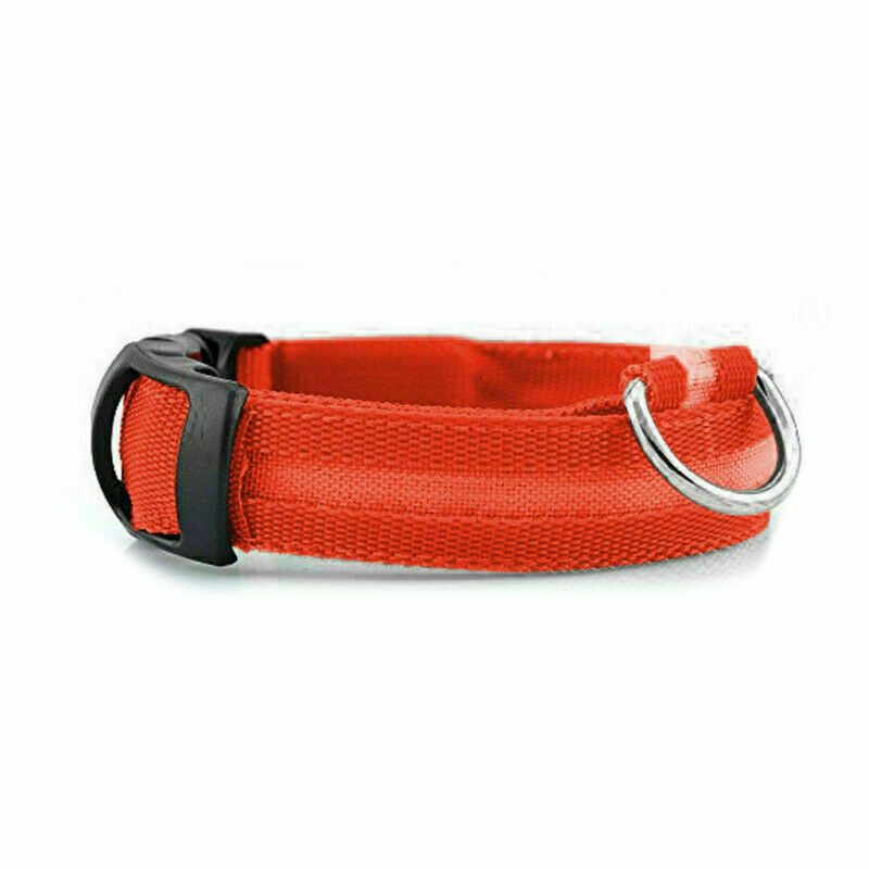 LED Dog Collar Night Flashing Light Up Adjustable Safety Dev...