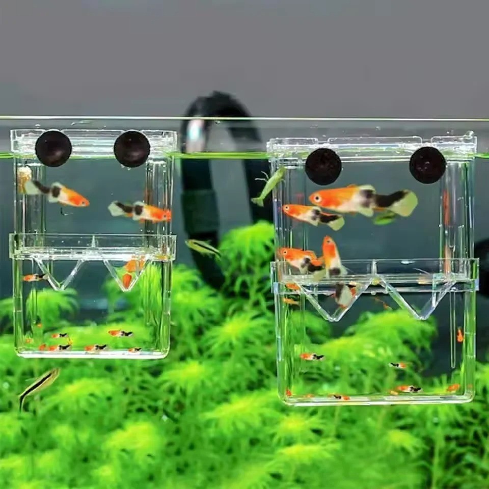 Fish Breeding Box - Shrimp Hatchery Tank Isolation Incubator...