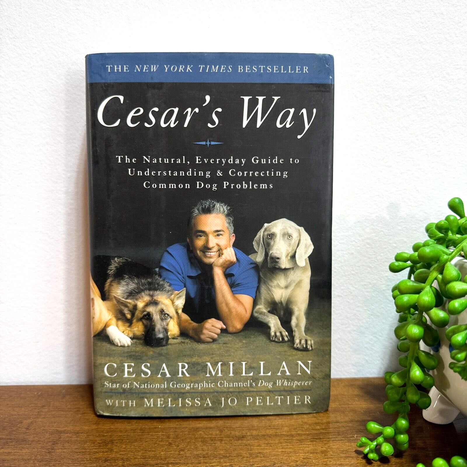 Cesar Millan's Guide to Dog Health Issues