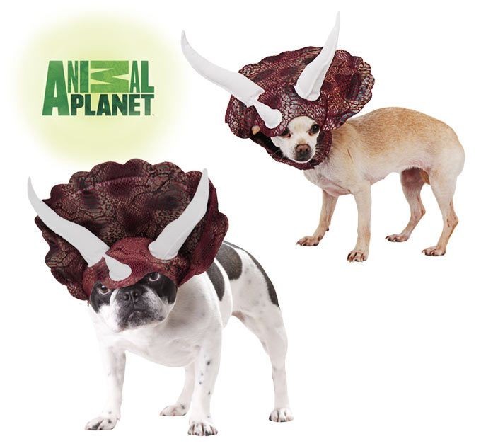 Animal Planet Triceratops Dog Costume - Size Small - New Con...