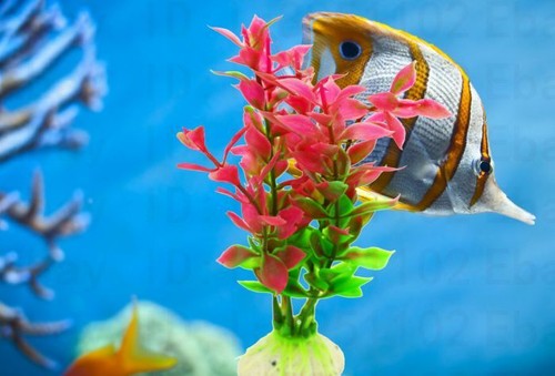 New Aquarium Plastic Planta Fish Tank Decoration Underwater...