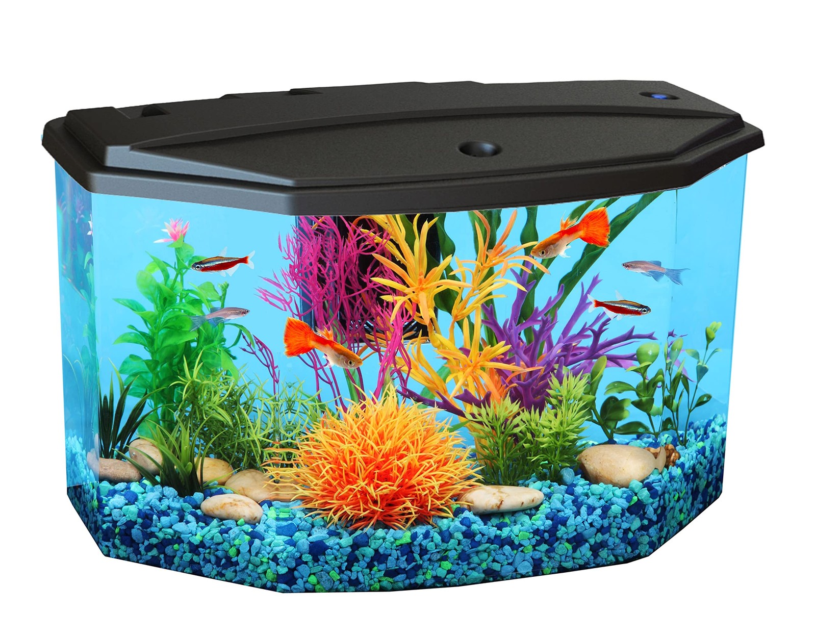LED Aquarium Starter Kit - 3 Gallons, Starter Set with Color...