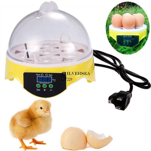 Incubator Poultry Hatcher Chicken, Duck Quail 7 Egg Us Plug