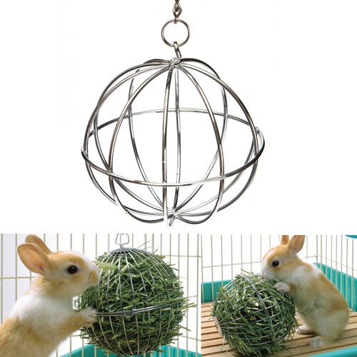 2- Sphere Treat Ball Guinea Pig Hamster Rat Rabbit Feed Disp...