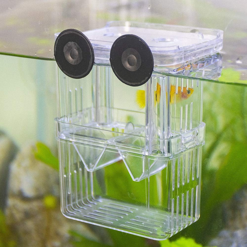Fish Breeding Box - Aquarium Isolation Hatching Incubator