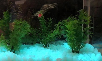 Aqua Glow-In-The-Dark Fish Tank Rubble 4Oz Glowing Aquarium...