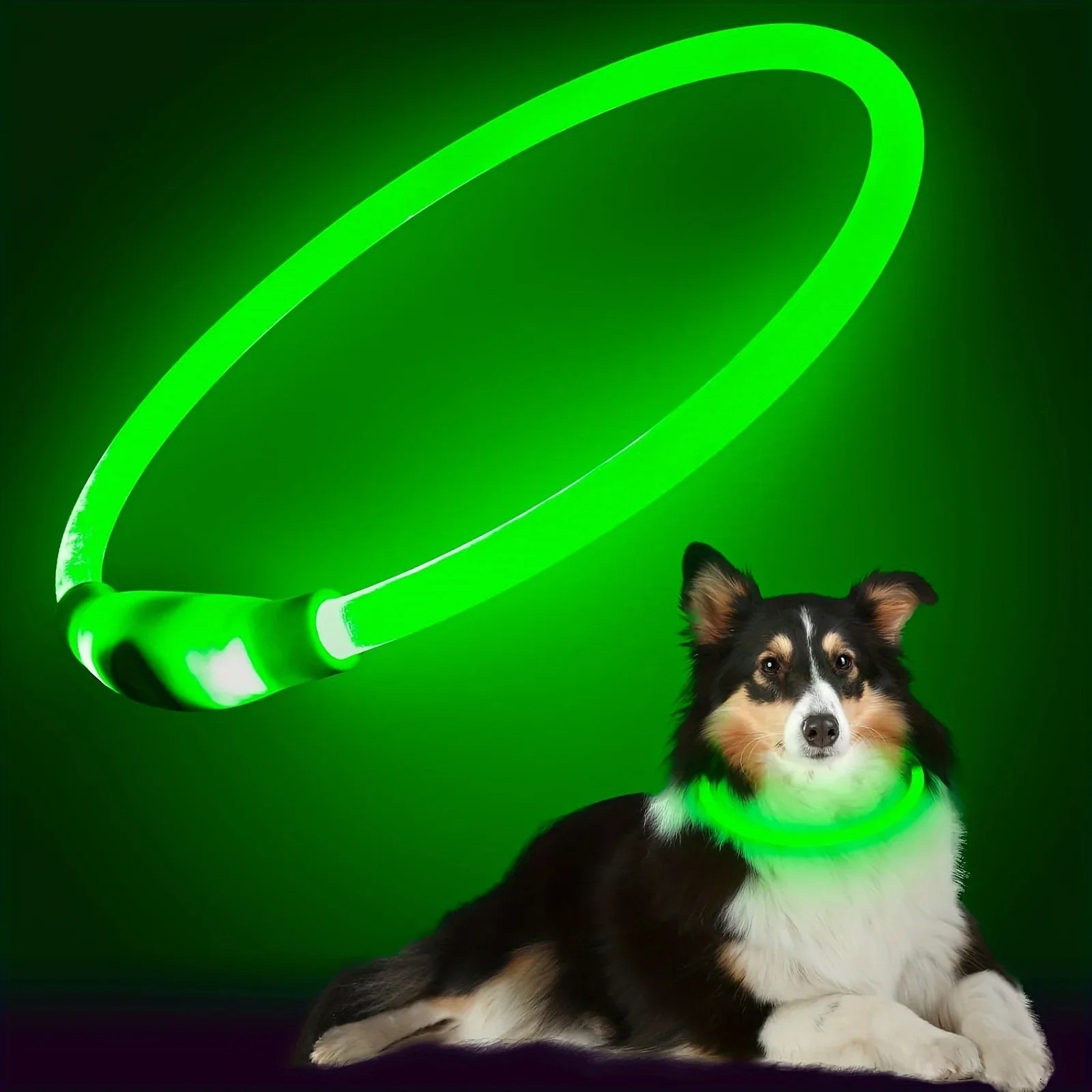 Adjustable Bright Flashing LED Dog Collar Night Safety Pet