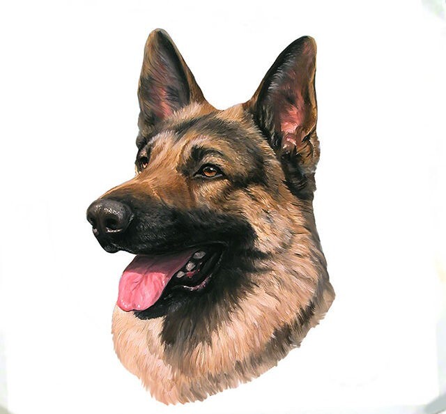 German Shepherd Black & Tan Tote Bag