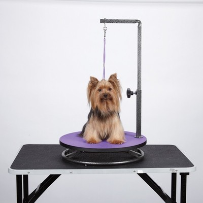 Grooming Tables Small Dog Table Pet Cat W Adjustable Arm Por...