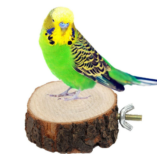 Pet Bird Parrot Chew Bite Toys Stand Swing Cage Hanging Cock...