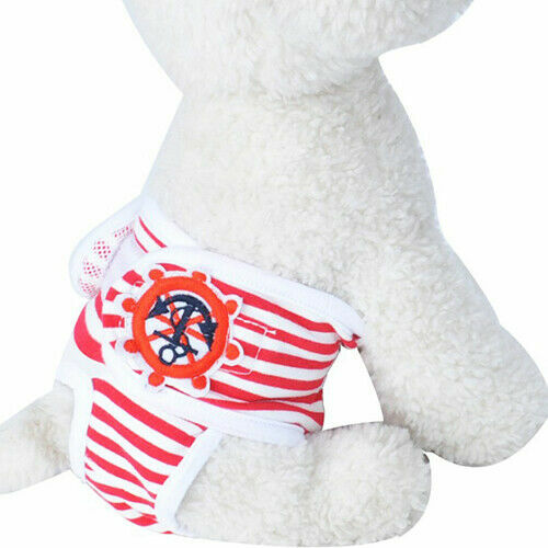 Female Puppy Diaper Pants | Sanitary Underwear | Size XXL