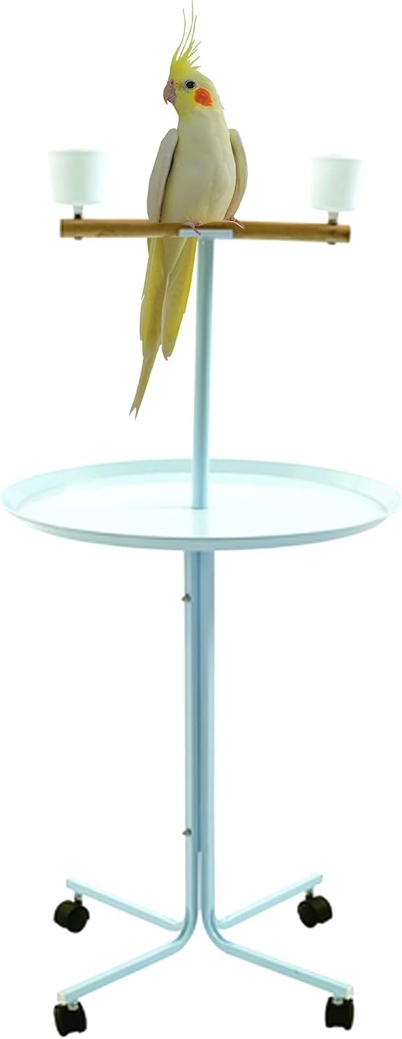 African Grey Parrot Play Stand Cage