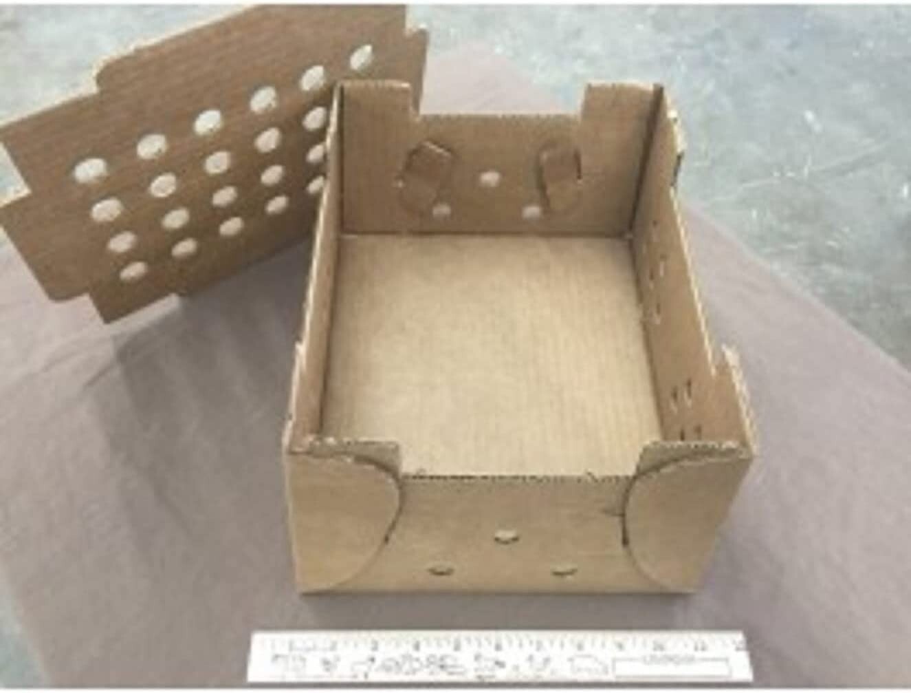 Baby Chick Shipping Boxes - 10 Count, Up to 25 Chicks Each