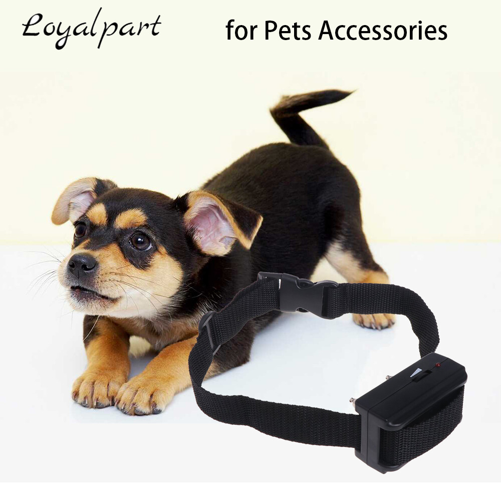 Automatic Shock Control Collar for Small to Medium Dogs