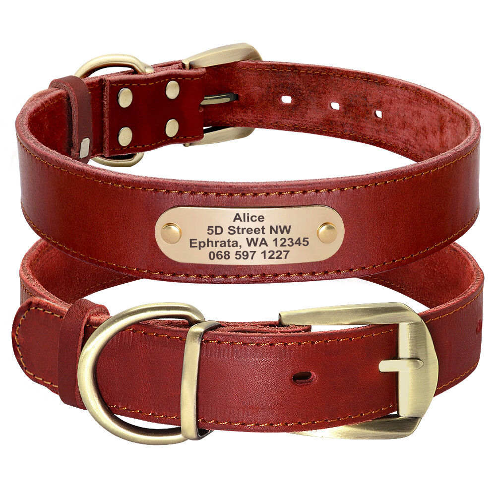 Personalized Dog Collar - Small Medium Large Size Brass Name...