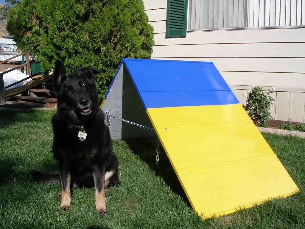 Mini A-Frame Dog Agility Equipment