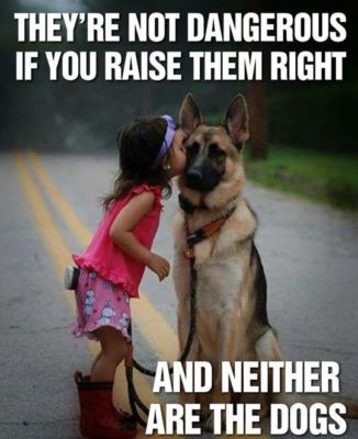 German Shepherd &Amp; Girl Refrigerator / Tool Box Magnet Gi...