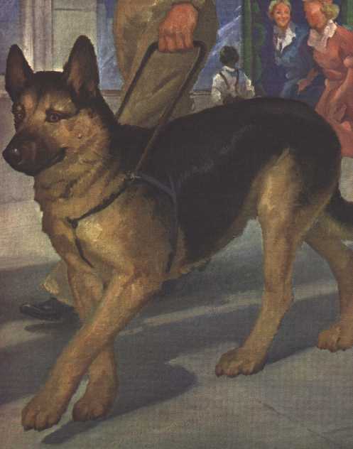 Vintage German Shepherd Art Print - 1970 W Dennis
