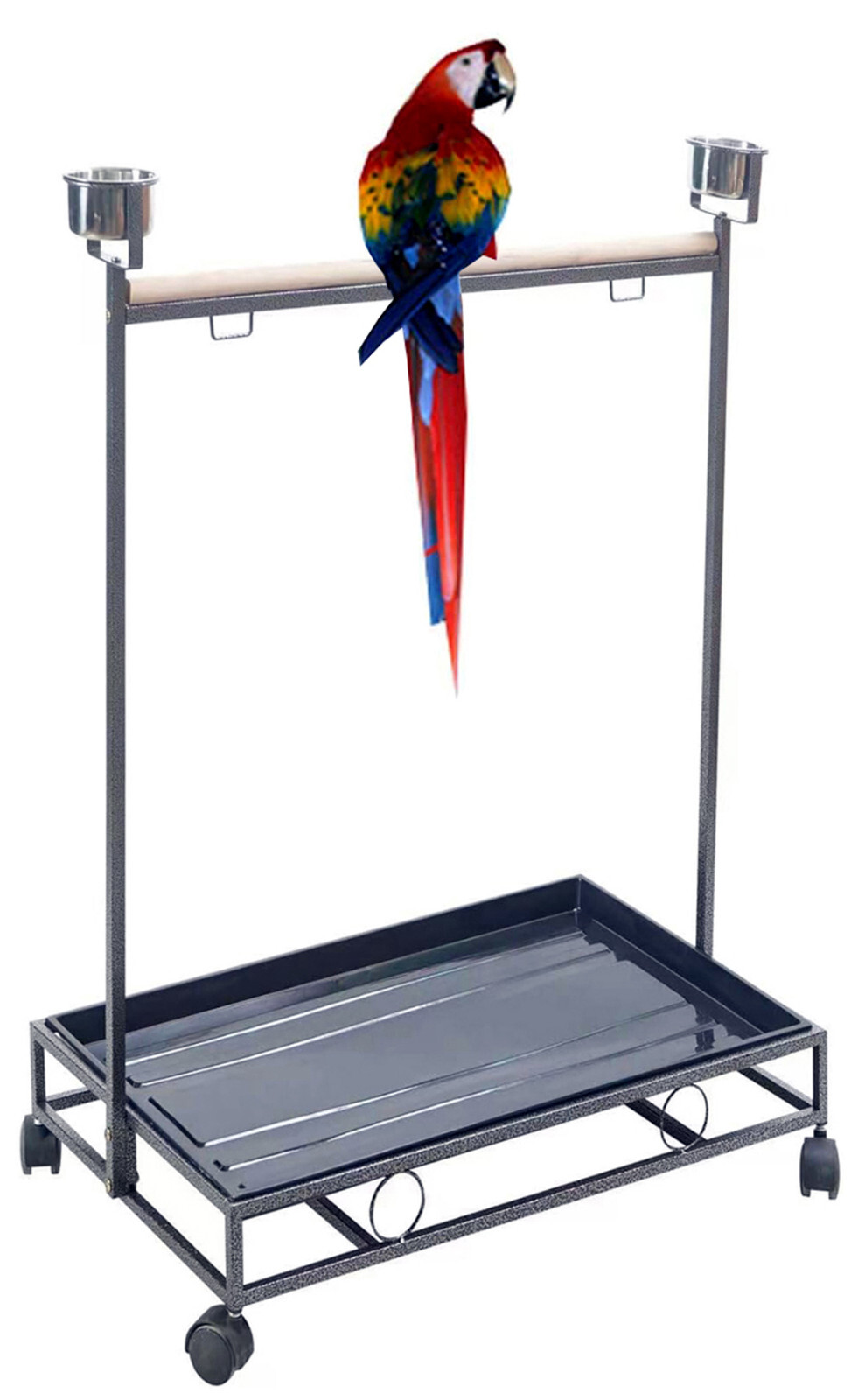 Wrought Iron Parrot Play Stand | Large Gym & Ground Roll Per...
