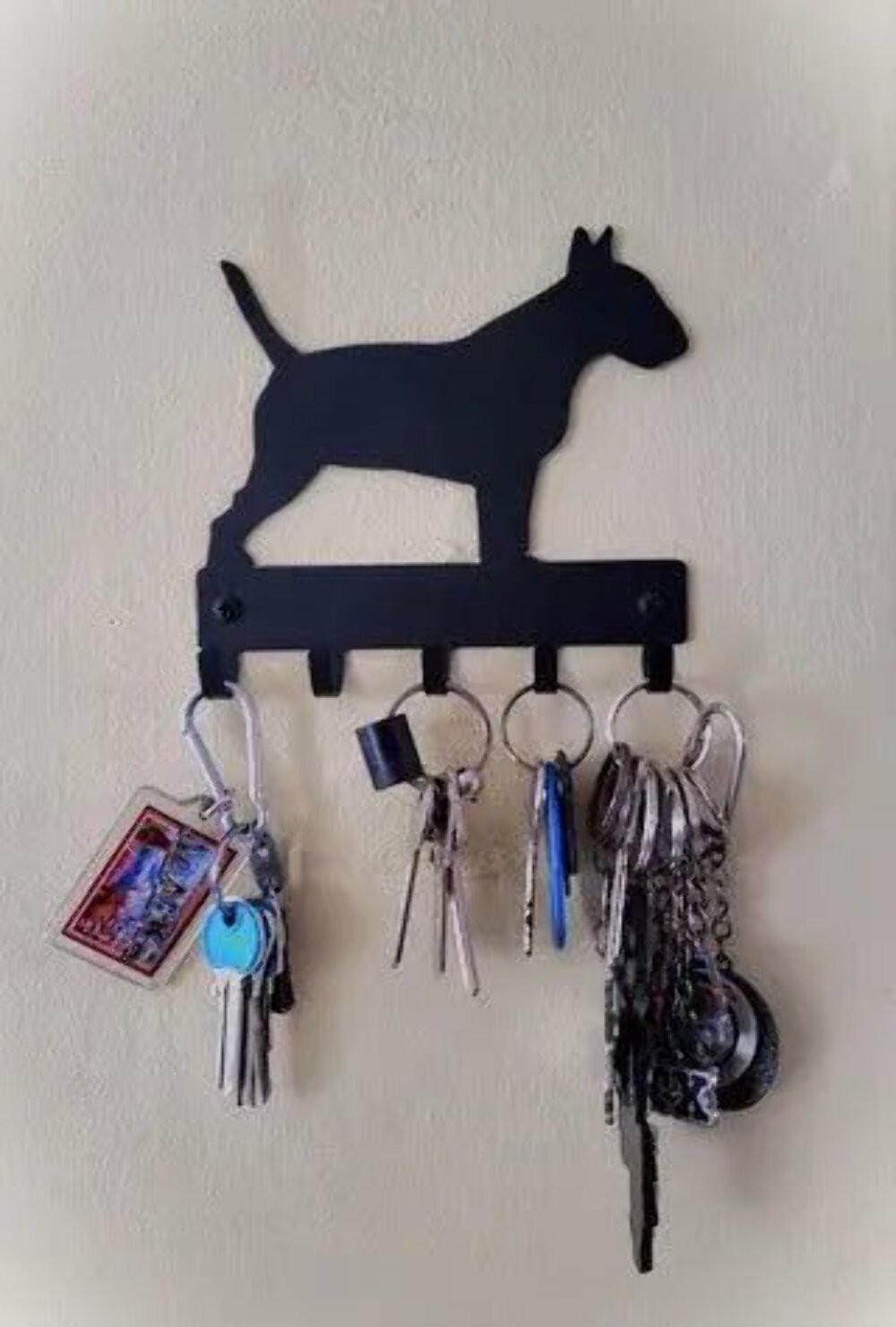 Metal Wall Key Rack Holder for Bull Terrier Leash