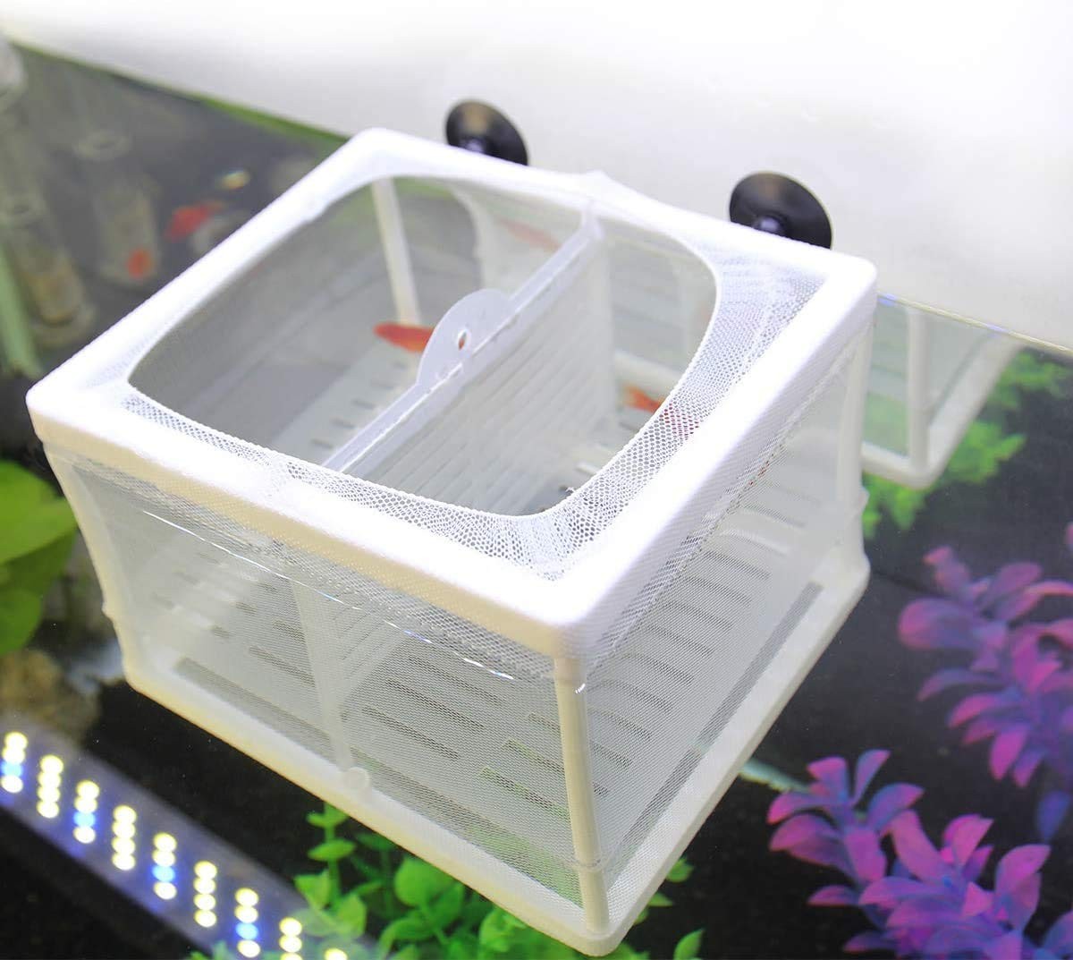 Fish Fry Hatchery Aquarium Incubator Mesh Net - Isolation Me...
