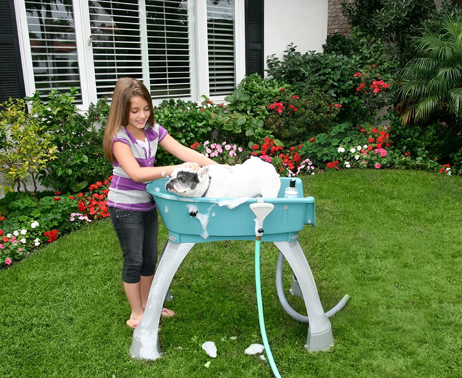 Elevated Pet Dog Bath Tub 360° Grooming Station Wash Drain H...