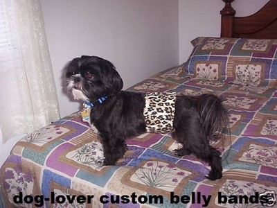 3 Male Dog Belly Bands Diaper - Better Than Others - U-Pick...