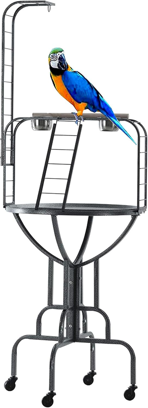 Elegant Wrought Iron Parrot Playground Gym Ground Rolling St...