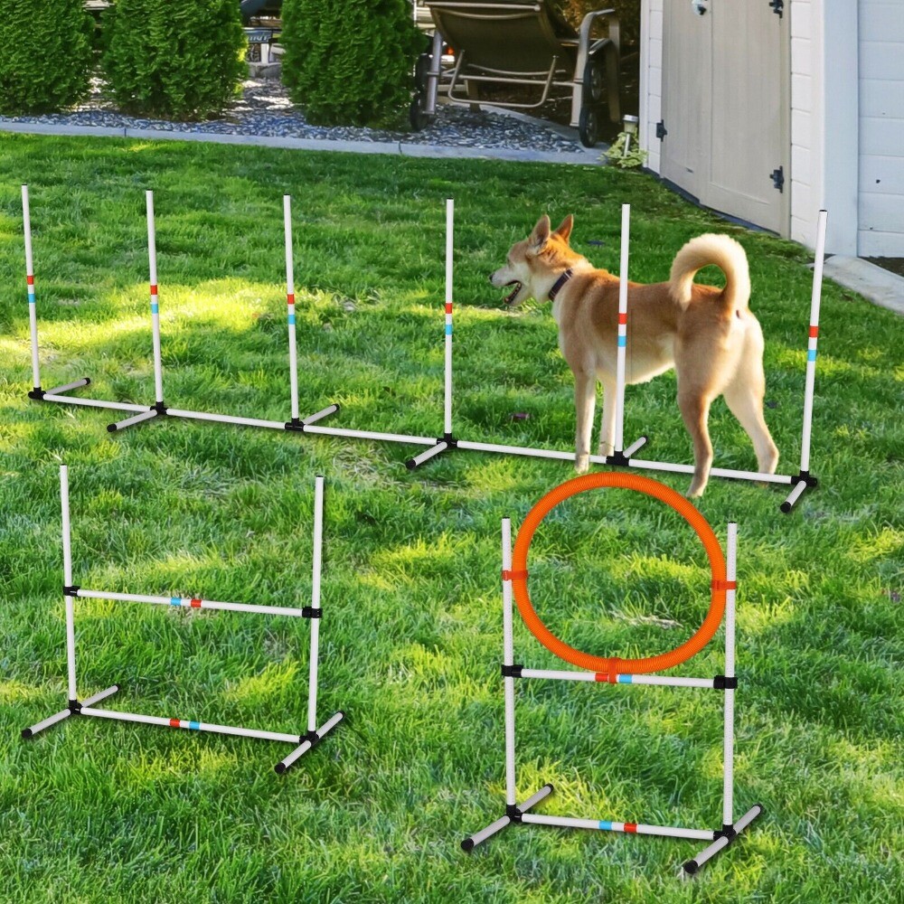 Dog Agility Training Equipment Set - Outdoor Backyard Exerci...