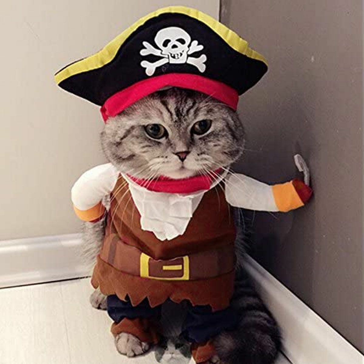 Pirate Dog & Cat Halloween Costumes for Pets