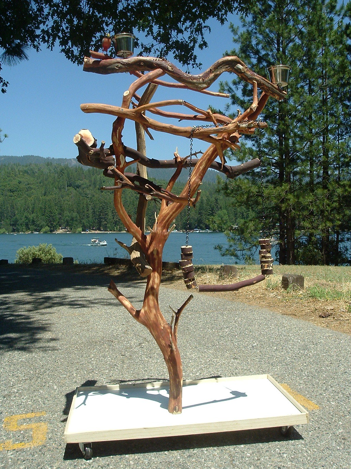 Manzanita Parrot Tree Stand - 5' AF Gray Sandblasted Bird Pe...