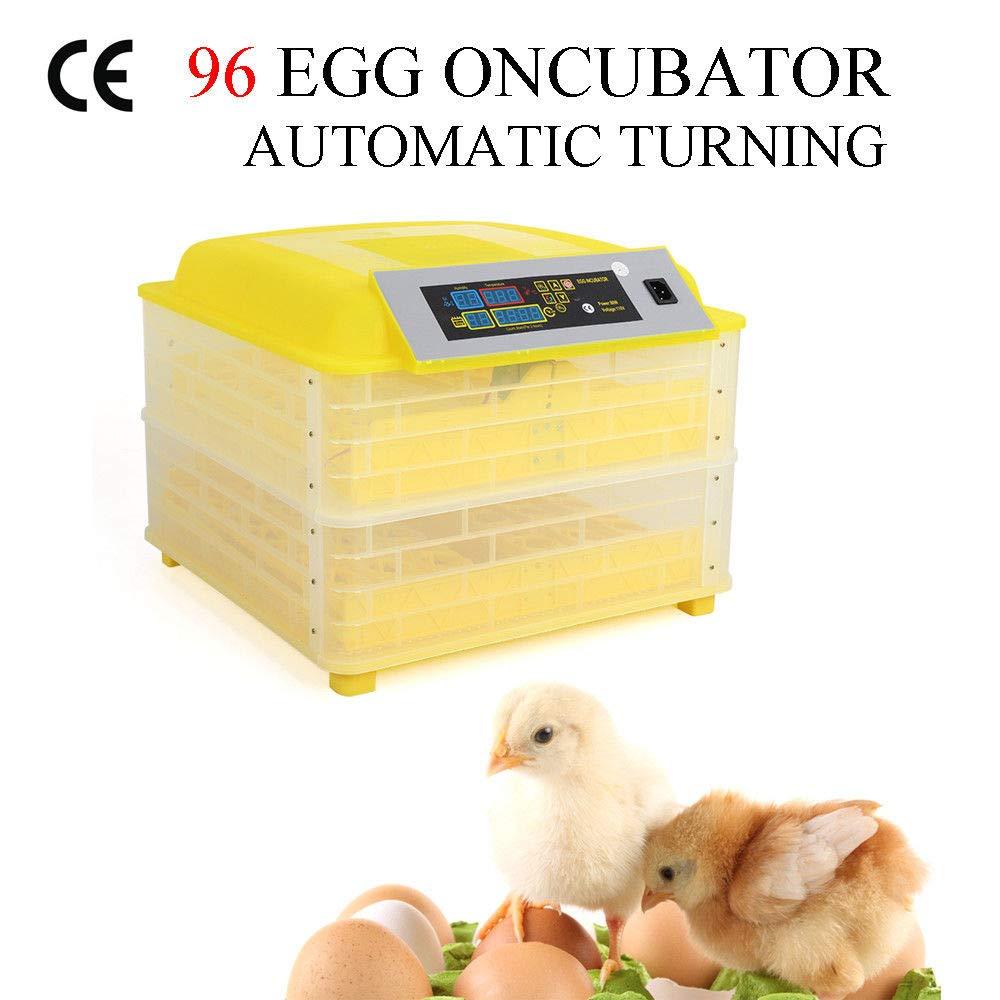 Digital Clear Egg Incubator Hatch Automatic Temperature Cont...