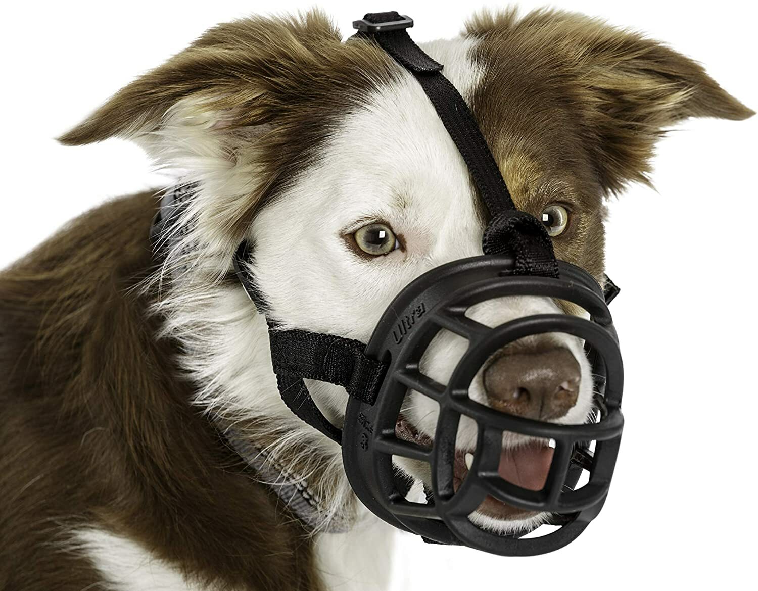 Baskerville Ultra Dog No-Bite Soft Mesh Basket Black