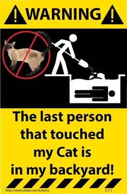 Cat Warning Sticker Funny Decal For Your Pet C11